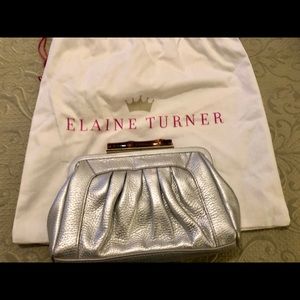 Elaine Turner Silver Bag